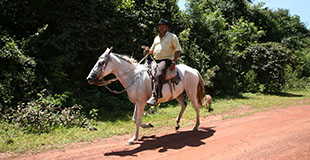 Cavaleiro nos Gerais